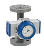 Krohne Flow Switch DW181